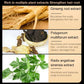 Ginger Plant Extract Anti-Hair Loss Hair Shampoo