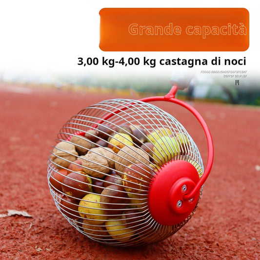 Strumento miracoloso per raccogliere rapidamente noci, castagne e frutta secca