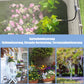 🔥Ultimo giorno di sconto del 50%✨🌱Sistema di irrigazione automatico da giard