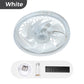 💨🌀 Ventilatore 2 in 1 con luce regolabile e telecomando – silenzioso 🔇💡