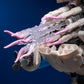 🦑🔧Mechanical Nautilus Assembled Building Block Ornament Toy🎁 50% di sconto sul secondo articolo! Costruzione creativa, giocattolo educativo, nuova scelta di arredamento per la casa!