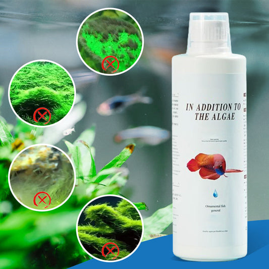 🎁 Offerta imperdibile: 50% di sconto 🔥 Efficace controllo delle alghe per acquario