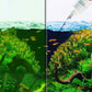 🎁 Offerta imperdibile: 50% di sconto 🔥 Efficace controllo delle alghe per acquario