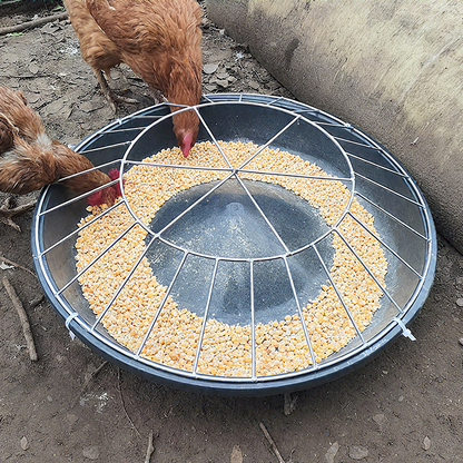 Mangiatoia Circolare di Grande Capacità per Pollame e Galline con Griglia Antispreco