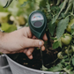 ⏳ 50% di sconto – solo per oggi! ⏰ Misuratore di umidità professionale per piante (indoor e outdoor) 🌱💦