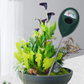 ⏳ 50% di sconto – solo per oggi! ⏰ Misuratore di umidità professionale per piante (indoor e outdoor) 🌱💦
