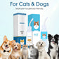🐶🐱 Solution nettoyante auriculaire – Soulage les démangeaisons, nettoie en douceur les oreilles des chiens et chats 🌿✨