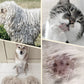 Spazzola per la toelettatura degli animali domestici a doppia faccia
