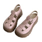 👡 ✨ Sandali da donna con plateau e suola spessa – Comodi, eleganti e perfetti per l'estate ☀️
