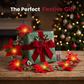 ❄️Summerfresh 50% OFF!🎄Ghirlanda di Natale con Stelle di Natale Luminose – Calore Festivo Senza Presa a Muro