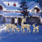 Set di Renne Natalizie Luminose a LED con Fiocco – Famiglia di Renne Decorative per Interno ed Esterno