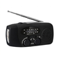 Radio di emergenza Sentinel Pro